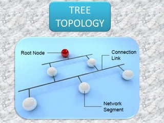 Network Topologies | PPTX