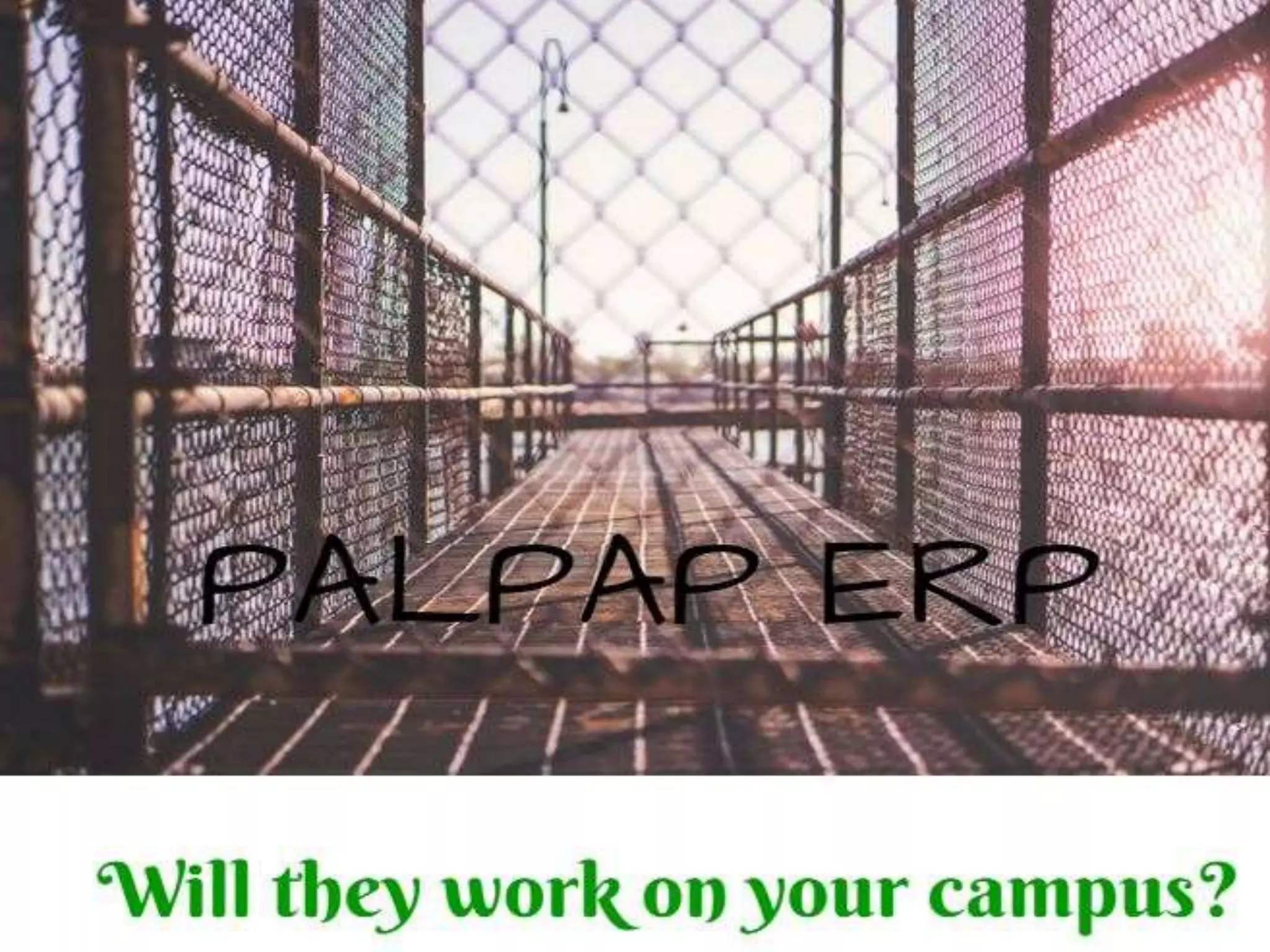 PALPAP ERP