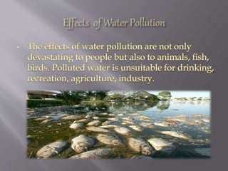 Polution Best Sentation Presentation on Pollution | PPTX