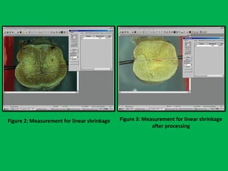 Figure 3: Measurement for linear shrinkage
after processing
Figure 2: Measurement for linear shrinkage
 