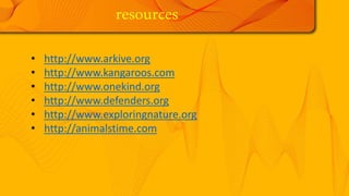 • http://www.arkive.org
• http://www.kangaroos.com
• http://www.onekind.org
• http://www.defenders.org
• http://www.exploringnature.org
• http://animalstime.com
resources
 