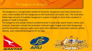 The kangaroo is a recognizable symbol of Australia. Kangaroos have been featured on
coins, most notably the five kangaroos on the Australian one dollar coin. The Australian
Made logo consists of a golden kangaroo in a green triangle to show that a product is
grown or made in Australia.
The kangaroo and wallaby feature predominantly in Australian sports teams names and
mascots. Examples include the Australian national rugby league team (the Kangaroos)
and the Australian national rugby union team (the Wallabies). Australia’s national airline,
Qantas, uses a bounding kangaroo for its logo.
The kangaroo in the media
 