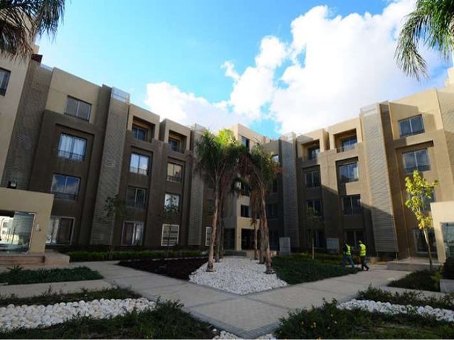 Palm Hill Apartments