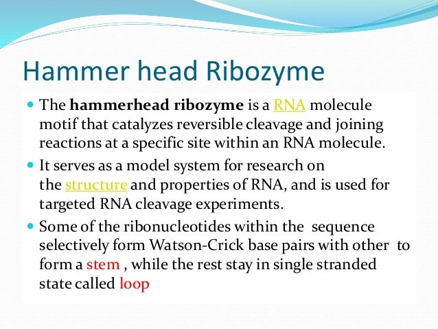 BIOCHEMISTRY OF RIBOZYMES EBOOK BIOCHEMISTRY OF RIBOZYMES EBOOK