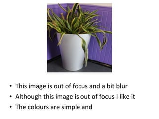 • This image is out of focus and a bit blur
• Although this image is out of focus I like it
• The colours are simple and
 