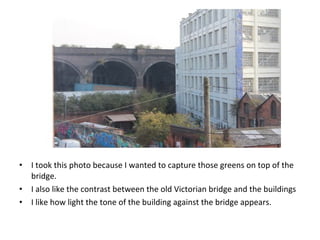• I took this photo because I wanted to capture those greens on top of the
bridge.
• I also like the contrast between the old Victorian bridge and the buildings
• I like how light the tone of the building against the bridge appears.
 