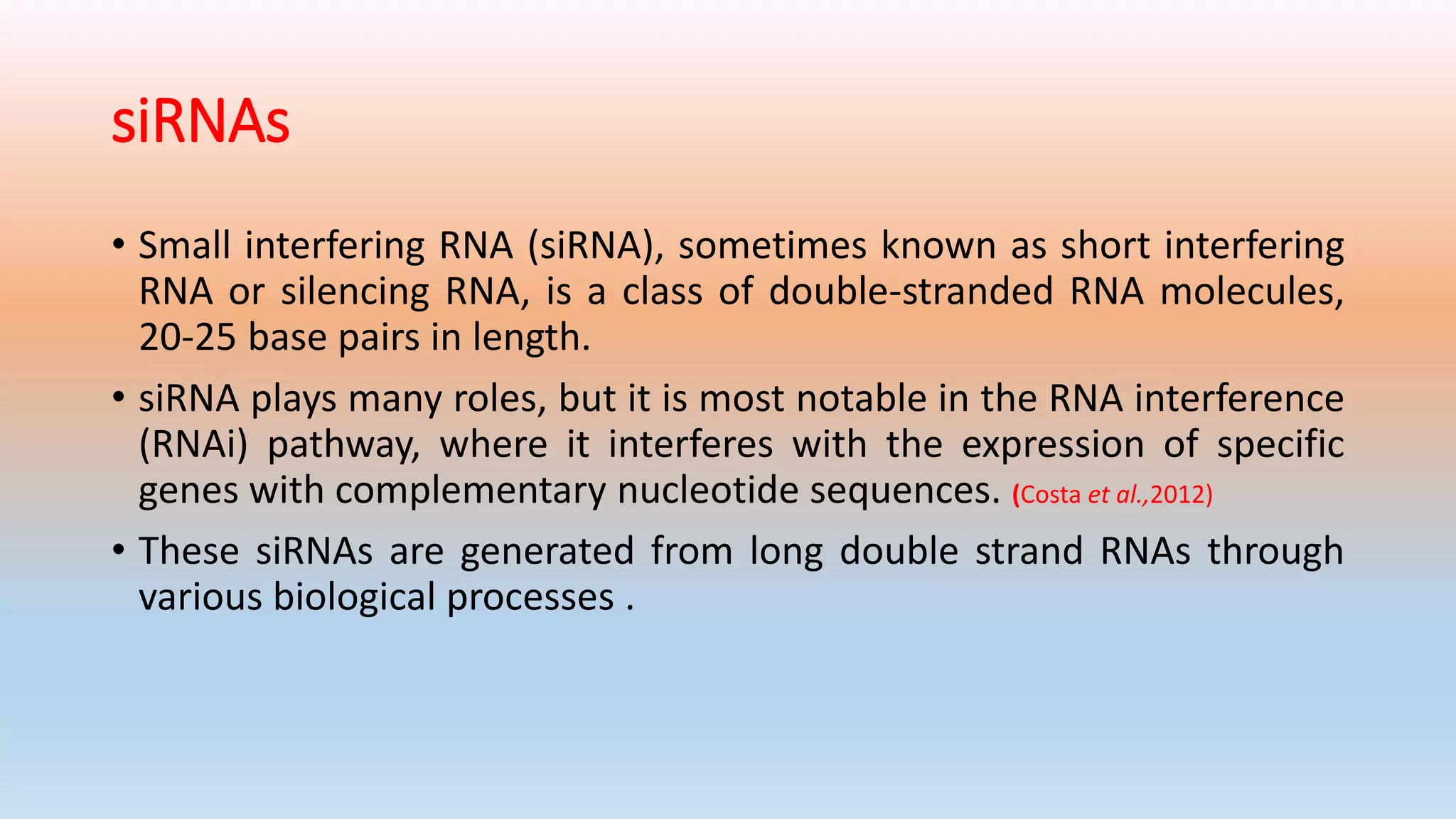 siRNAs
• Small interfering RNA (siRNA), sometimes known as short interfering
RNA or silencing RNA, is a class of double-stranded RNA molecules,
20-25 base pairs in length.
• siRNA plays many roles, but it is most notable in the RNA interference
(RNAi) pathway, where it interferes with the expression of specific
genes with complementary nucleotide sequences. (Costa et al.,2012)
• These siRNAs are generated from long double strand RNAs through
various biological processes .
 