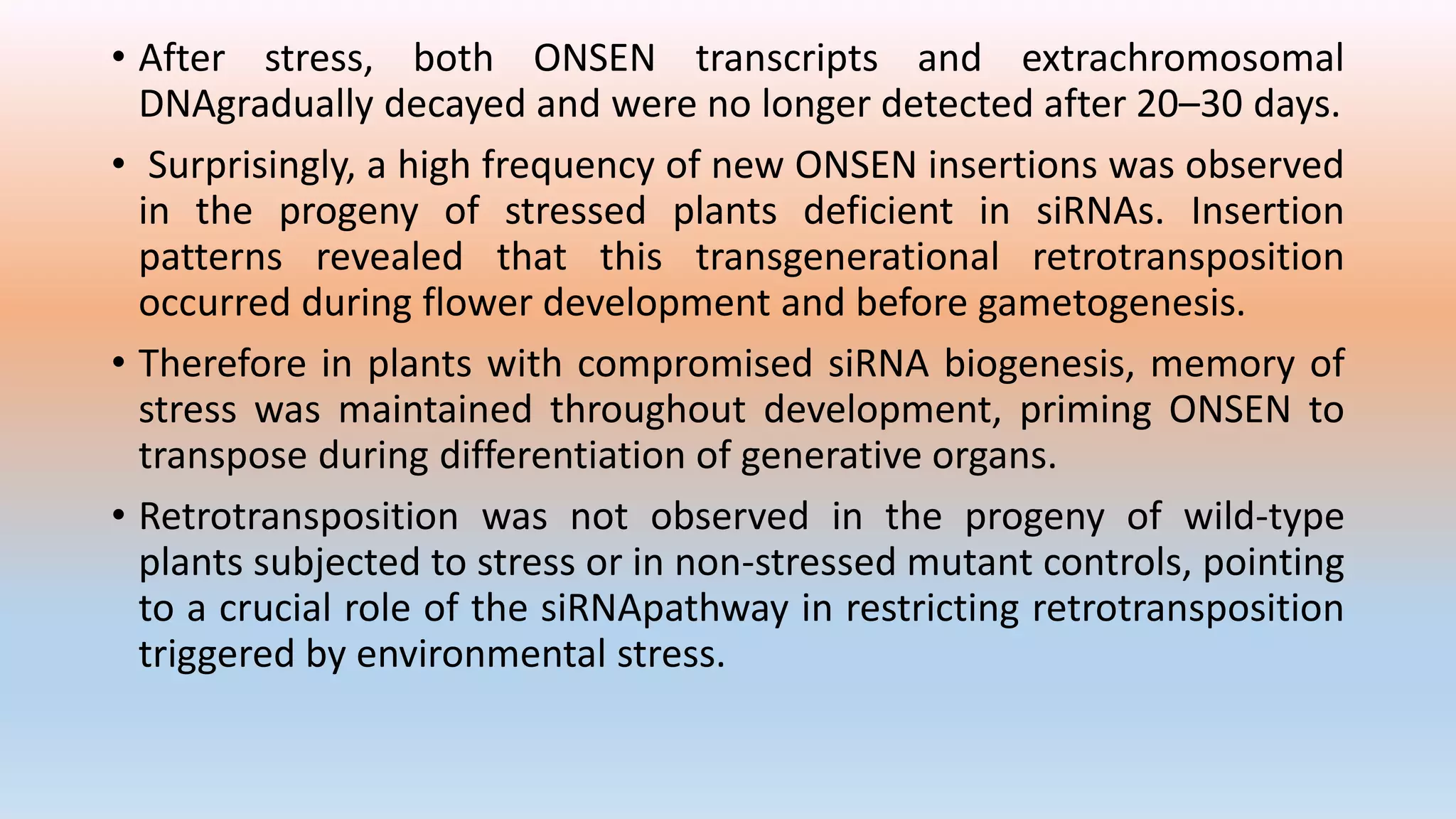 • After stress, both ONSEN transcripts and extrachromosomal
DNAgradually decayed and were no longer detected after 20–30 days.
• Surprisingly, a high frequency of new ONSEN insertions was observed
in the progeny of stressed plants deficient in siRNAs. Insertion
patterns revealed that this transgenerational retrotransposition
occurred during flower development and before gametogenesis.
• Therefore in plants with compromised siRNA biogenesis, memory of
stress was maintained throughout development, priming ONSEN to
transpose during differentiation of generative organs.
• Retrotransposition was not observed in the progeny of wild-type
plants subjected to stress or in non-stressed mutant controls, pointing
to a crucial role of the siRNApathway in restricting retrotransposition
triggered by environmental stress.
 