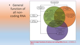 non coding RNA | PPTX