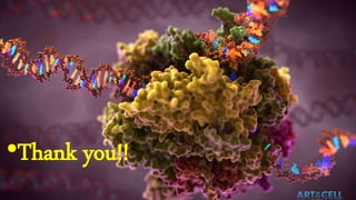 non coding RNA | PPTX