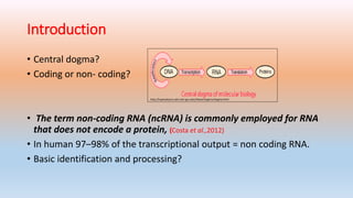 non coding RNA | PPTX | Endocrine and Metabolic Diseases | Diseases and ...