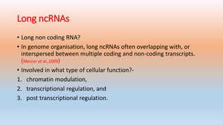 non coding RNA | PPTX | Endocrine and Metabolic Diseases | Diseases and ...