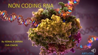 NON CODING RNA
By: KOMAL K SAPARA
CSIR-CSMCRI
 