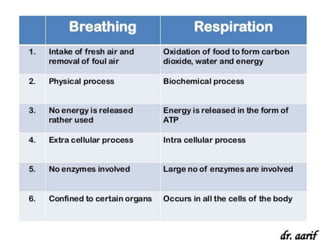 breathing and respiration{BIOLOGY}
