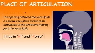PLACE OF ARTICULATION
9.GLOTTAL :
The opening between the vocal folds
is narrow enough to create some
turbulence in the airstream flowing
past the vocal folds.
[h] as in "hi" and “horse"
 