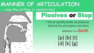 Plosives or Stop
▷ the air quickly builds up pressure
behind the articulators and then
releases in a burst.
[p] [b] [t]
[d] [k] [g]
→ how the airflow is constricted
MANNER OF ARTICULATION
 