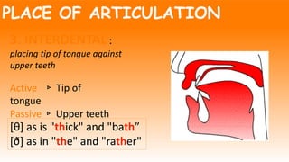 PLACE OF ARTICULATION
3. INTERDENTAL :
placing tip of tongue against
upper teeth
Active ▹ Tip of
tongue
Passive ▹ Upper teeth
[θ] as is "thick" and "bath”
[ð] as in "the" and "rather"
 