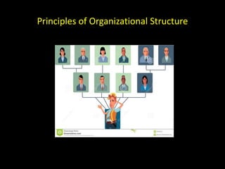 Principles of Organizational Structure
 