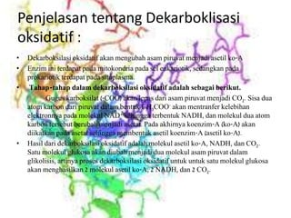 Penjelasan tentang Dekarboklisasi
oksidatif :
• Dekarboksilasi oksidatif akan mengubah asam piruvat menjadi asetil ko-A
• Enzim ini terdapat pada mitokondria pada sel eukariotik, sedangkan pada
prokariotik terdapat pada sitoplasma.
• Tahap-tahap dalam dekarboksilasi oksidatif adalah sebagai berikut.
Gugus karboksilat (-COO) akan lepas dari asam piruvat menjadi CO2. Sisa dua
atom karbon dari piruvat dalam bentuk CH3COO- akan mentranfer kelebihan
elektronnya pada molekul NAD+ sehingga terbentuk NADH, dan molekul dua atom
karbon tersebut berubah menjadi asetat. Pada akhirnya koenzim-A (ko-A) akan
diikatkan pada asetat sehingga membentuk asetil koenzim-A (asetil ko-A).
• Hasil dari dekarboksilasi oksidatif adalah molekul asetil ko-A, NADH, dan CO2.
Satu molekul glukosa akan diubah menjadi dua molekul asam piruvat dalam
glikolisis, artinya proses dekarboksilasi oksidatif untuk untuk satu molekul glukosa
akan menghasilkan 2 molekul asetil ko-A, 2 NADH, dan 2 CO2.
 
