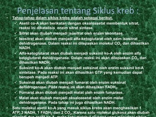 Penjelasan tentang Siklus kreb :
• Tahap-tahap dalam siklus krebs adalah sebagai berikut.
 Asetil co-A akan berikatan dengan oksaloasetat membentuk sitrat,
reaksi ini dikatalisis enzim sitrat sintase.
 Sitrat akan diubah menjadi isositrat oleh enzim akonitase.
 Isositrat akan diubah menjadi alfa-ketoglutarat oleh ezim isositrat
dehidrogenase. Dalam reaksi ini dilepaskan molekul CO2 dan dihasilkan
NADH.
 Alfa-ketoglutarat akan diubah menjadi suksinil ko-A oleh enzim alfa
ketoglutarat dehidrogenase. Dalam reaksi ini akan dilepaskan CO2 dan
dihasilkan NADH.
 Suksinil ko-A akan diubah menjadi suksinat oleh enzim suksinil ko-A
sintetase. Pada reaksi ini akan dihasilkan GTP yang kemudian dapat
berupah menjadi ATP.
 Suksinat akan diubah menjadi fumarat oleh enzim suksinat
dehidrogenase. Pada reaksi ini akan dihasilkan FADH2.
 Fumarat akan diubah menjadi malat oleh enzim fumarase.
 Malat akan diubah menjadi oksaloasetat oleh enzim malat
dehidrogenase. Pada tahap ini juga dihasilkan NADH.
• Satu molekul asetil ko-A yang masuk siklus krebs akan menghasilkan 1
ATP, 3 NADH, 1 FADH2 dan 2 CO2. Karena satu molekul glukosa akan diubah
 