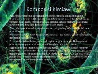 Komposisi Kimiawi
• Pada mitokondria utuh, air merupakan komponen utama yang dominan dan
ditemukan di seluruh mitokondria kecuali dalam lapisan bilayer lipida. Air selain
berperan dalam reaksi-reaksi kimia, juga berperan sebagai medium fisik dimana
metabolit dapat berdifusi diantara sistem-sistem enzim.
• Pada beberapa mitokondria, membran dalam mengandung kira-kira 60% dari total
protein organel
• Protein mitokondria dapat dikelompokkan menjadi dua bentuk, yaitu bentuk terlarut
dan bentuk tidak terlarut
• Protein tidak terlarut biasanya menjadi bagian integral membran. Beberapa dari
protein ini merupakan protein struktural serta beberapa protein enzim
• Sejumlah molekul organik sederhana yang berbeda berasosiasi dengan membran
mitokondria. Beberapa dari molekul ini adalah molekul redoks yang ikut serta dalam
transpor elektron. Ubiquinon (koenzim Q), flavin (FMN dan FAD), dan nukleotida
piridin (NAD+) secara normal terikat membran, dan kadang-kadang berasosiasi pada
hampir sebahagian besar membran dalam
 