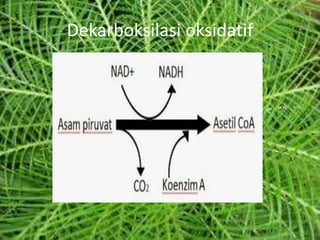 Dekarboksilasi oksidatif
 