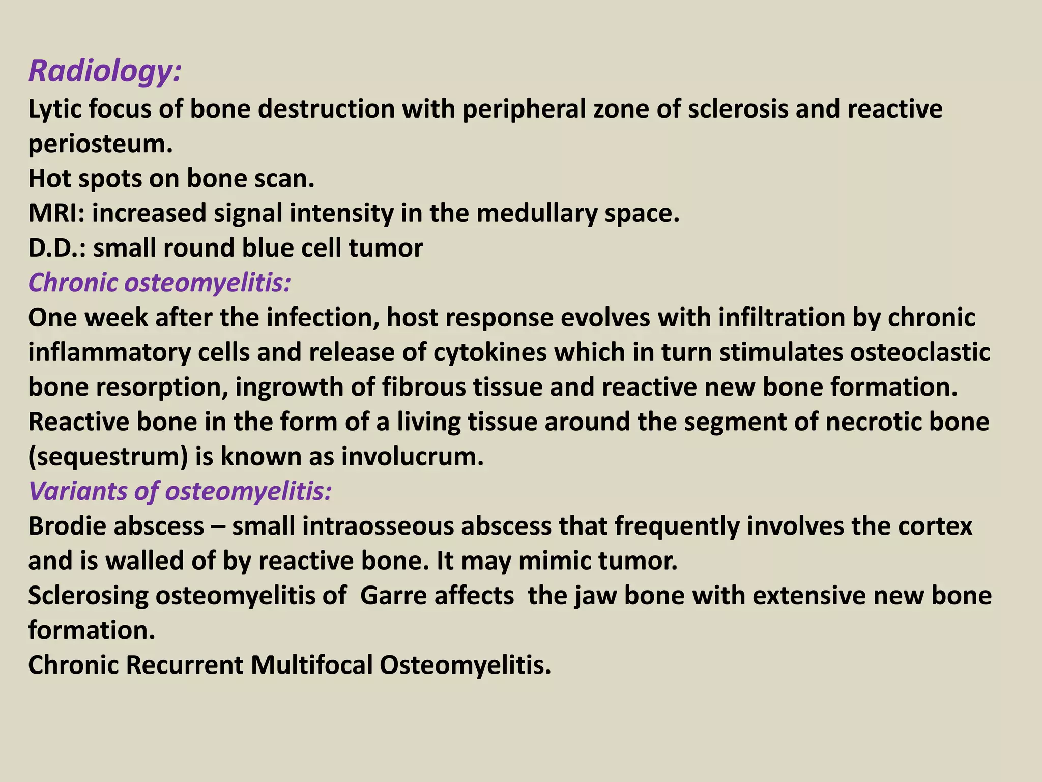 Radiology:
Lytic focus of bone destruction with peripheral zone of sclerosis and reactive
periosteum.
Hot spots on bone scan.
MRI: increased signal intensity in the medullary space.
D.D.: small round blue cell tumor
Chronic osteomyelitis:
One week after the infection, host response evolves with infiltration by chronic
inflammatory cells and release of cytokines which in turn stimulates osteoclastic
bone resorption, ingrowth of fibrous tissue and reactive new bone formation.
Reactive bone in the form of a living tissue around the segment of necrotic bone
(sequestrum) is known as involucrum.
Variants of osteomyelitis:
Brodie abscess – small intraosseous abscess that frequently involves the cortex
and is walled of by reactive bone. It may mimic tumor.
Sclerosing osteomyelitis of Garre affects the jaw bone with extensive new bone
formation.
Chronic Recurrent Multifocal Osteomyelitis.
 