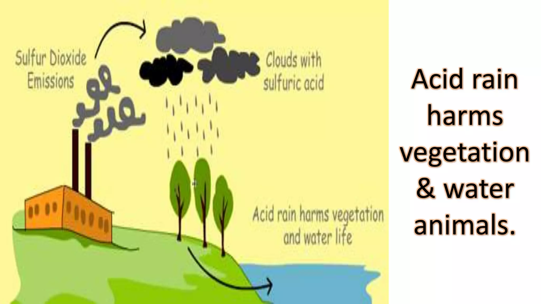 water pollution effects on animals and plants