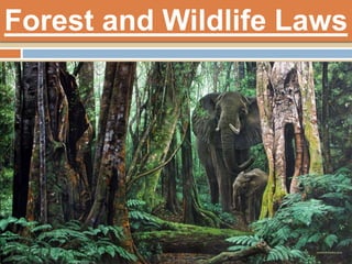 Forest and Wildlife Laws
 