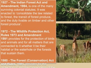 1927 - The Indian Forest Act and
Amendment, 1984, is one of the many
surviving colonial statutes. It was
enacted to ‘consolidate the law related
to forest, the transit of forest produce,
and the duty livable on timber and other
forest produce’.
1972 - The Wildlife Protection Act,
Rules 1973 and Amendment
1991 provides for the protection of birds
and animals and for all matters that are
connected to it whether it be their
habitat or the waterhole or the forests
that sustain them.
1980 - The Forest (Conservation) Act
and Rules, 1981, provides for the
 