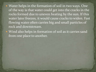  Water helps in the formation of soil in two ways. One
of the way is that water could get into the cracks in the
rocks formed due to uneven heating by the sun. If this
water later freezes, it would cause cracks to widen. Fast
flowing water often carries big and small particles of
rock and downstream.
 Wind also helps in formation of soil as it carries sand
from one place to another.
 