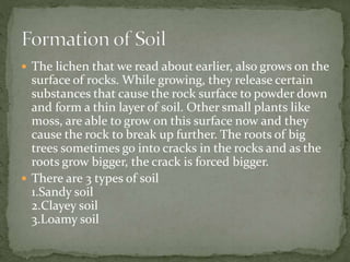  The lichen that we read about earlier, also grows on the
surface of rocks. While growing, they release certain
substances that cause the rock surface to powder down
and form a thin layer of soil. Other small plants like
moss, are able to grow on this surface now and they
cause the rock to break up further. The roots of big
trees sometimes go into cracks in the rocks and as the
roots grow bigger, the crack is forced bigger.
 There are 3 types of soil
1.Sandy soil
2.Clayey soil
3.Loamy soil
 