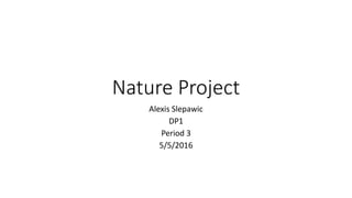 Nature Project
Alexis Slepawic
DP1
Period 3
5/5/2016
 