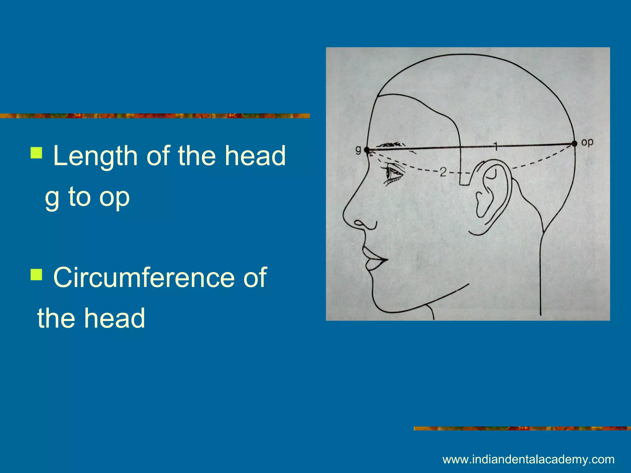  Length of the head
g to op
 Circumference of
the head
www.indiandentalacademy.com
 