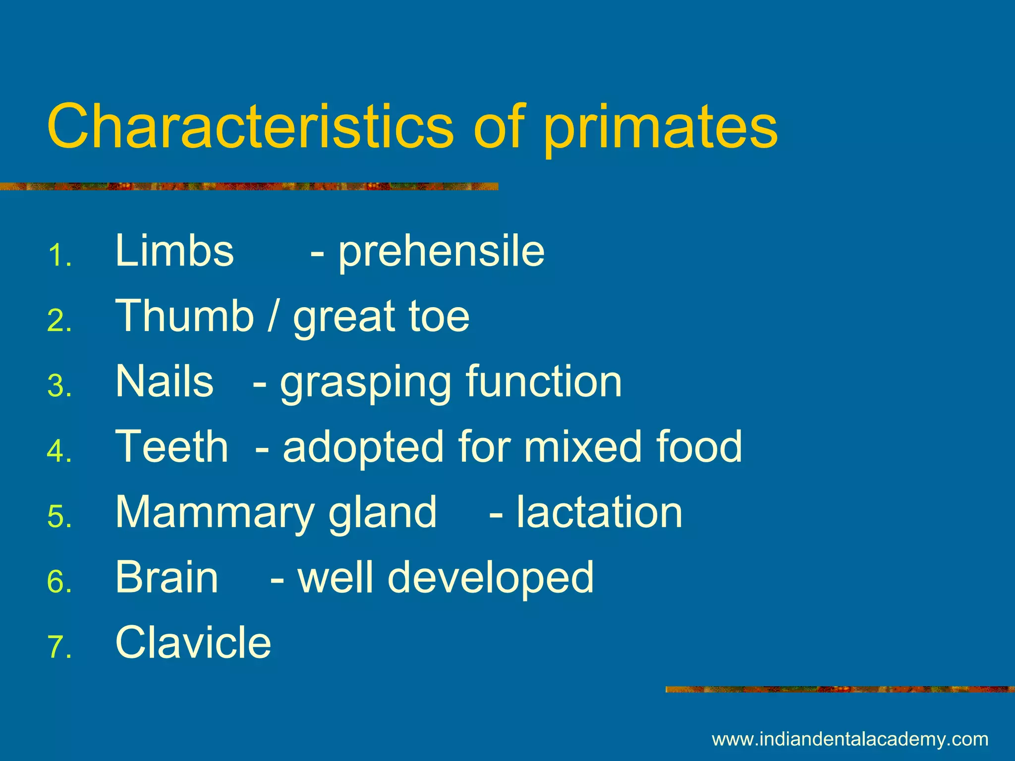 Characteristics of primates
1. Limbs - prehensile
2. Thumb / great toe
3. Nails - grasping function
4. Teeth - adopted for mixed food
5. Mammary gland - lactation
6. Brain - well developed
7. Clavicle
www.indiandentalacademy.com
 