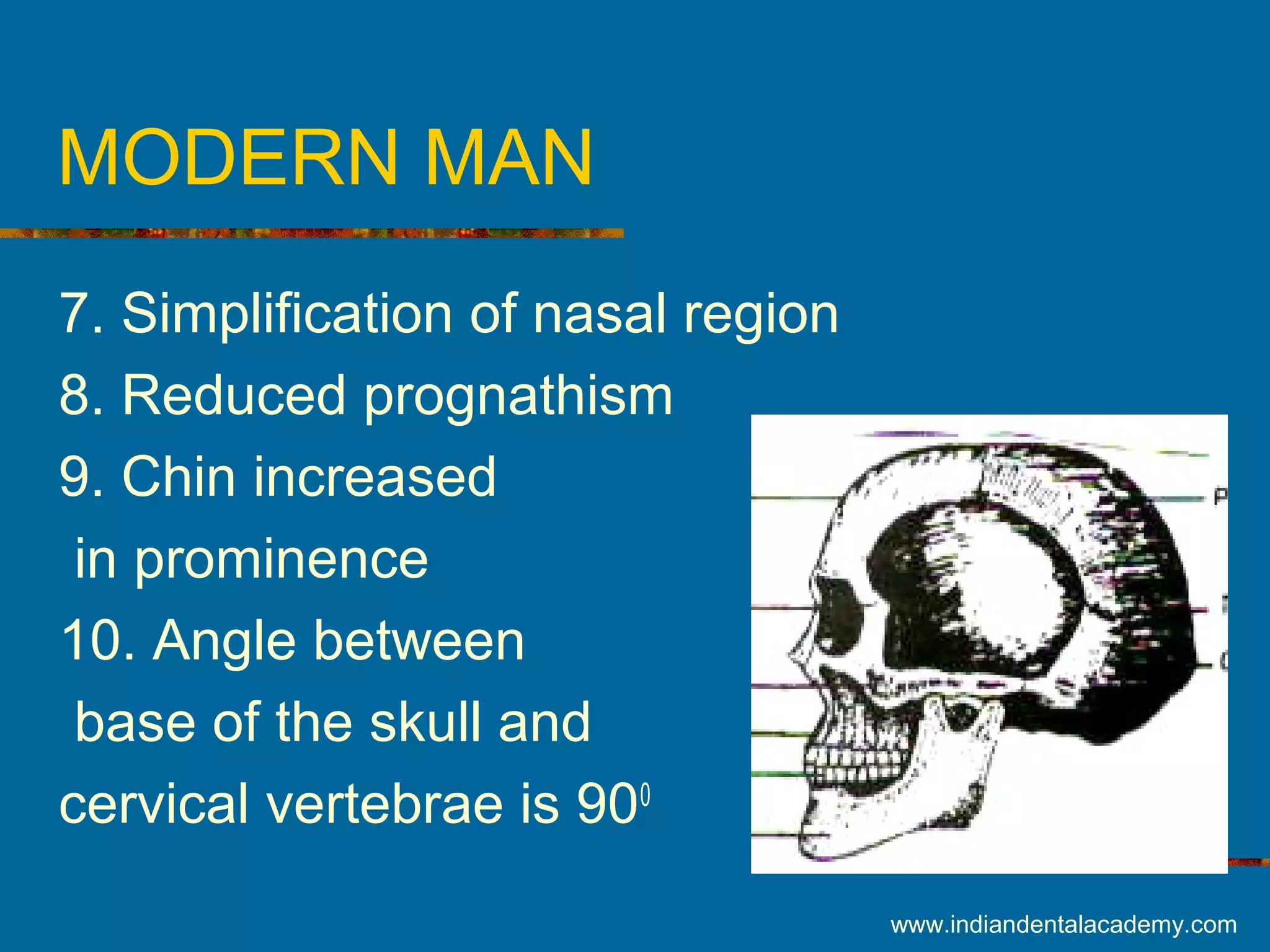 MODERN MAN
7. Simplification of nasal region
8. Reduced prognathism
9. Chin increased
in prominence
10. Angle between
base of the skull and
cervical vertebrae is 900
www.indiandentalacademy.com
 