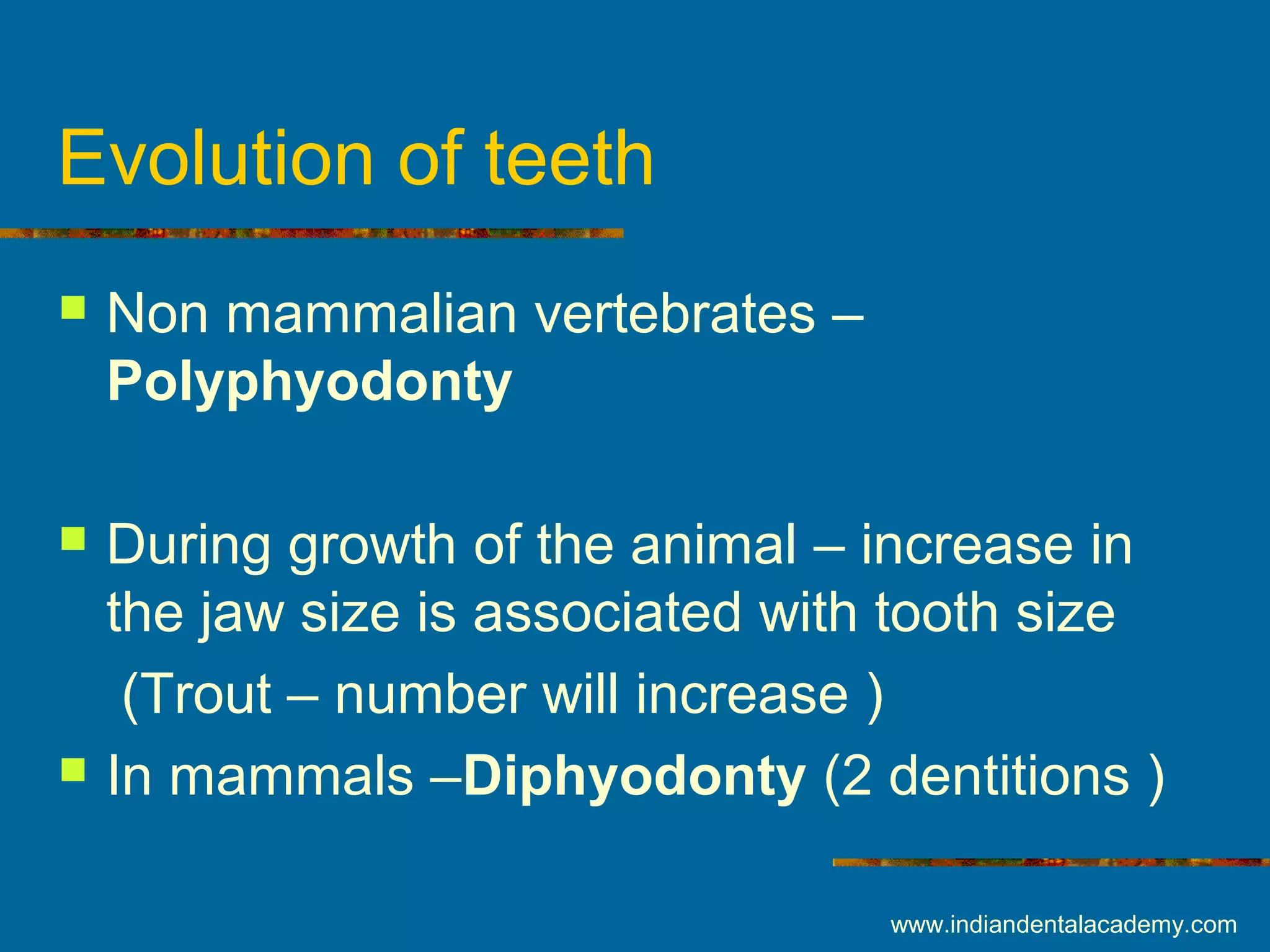 Evolution of teeth
 Non mammalian vertebrates –
Polyphyodonty
 During growth of the animal – increase in
the jaw size is associated with tooth size
(Trout – number will increase )
 In mammals –Diphyodonty (2 dentitions )
www.indiandentalacademy.com
 