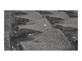 Electronic Portfolio