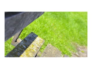 Electronic Portfolio