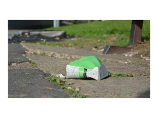 Electronic Portfolio