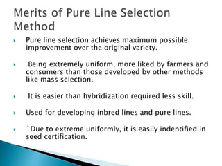 Pure Line Vs Inbred Line Pure and Hybrid Seed Production | PPTX