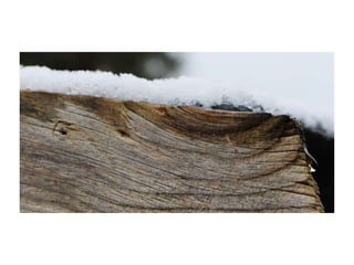 Electronic portfolio