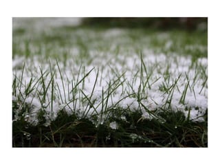 Electronic portfolio