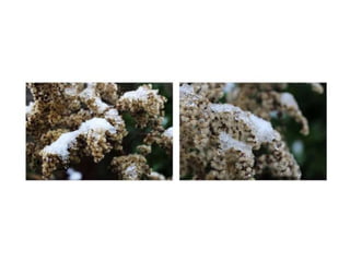 Electronic portfolio