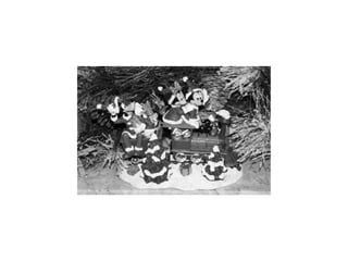 Electronic portfolio