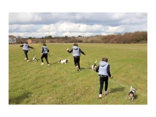 Electronic portfolio