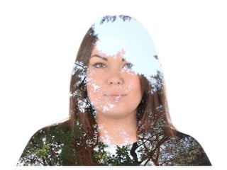 Electronic portfolio