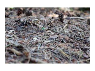 Electronic portfolio