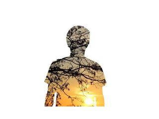 Electronic portfolio