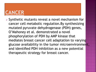  Synthetic mutants reveal a novel mechanism for
cancer cell metabolic regulation.By synthesizing
mutated pyruvate dehydrogenase (PDH) genes,
O’Mahoney et al. demonstrated a novel
phosphorylation of PDH by AMP kinase that
mediates breast cancer cell adaptation to varying
glucose availability in the tumor microenvironment,
and identiﬁed PDH inhibition as a new potential
therapeutic strategy for breast cancer.
 